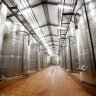 HACCP Vin - cuverie et vinification